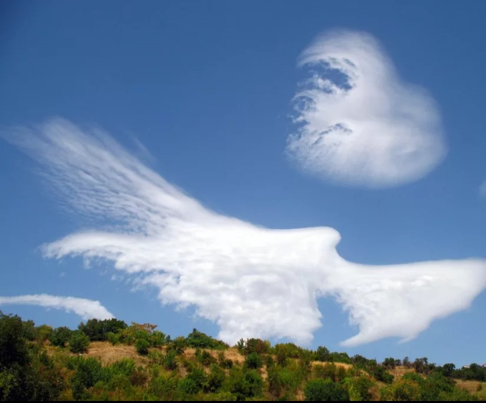 Обитатель облаков. Облака. Необычные облака. Причудливые облака. Облако в форме птицы.