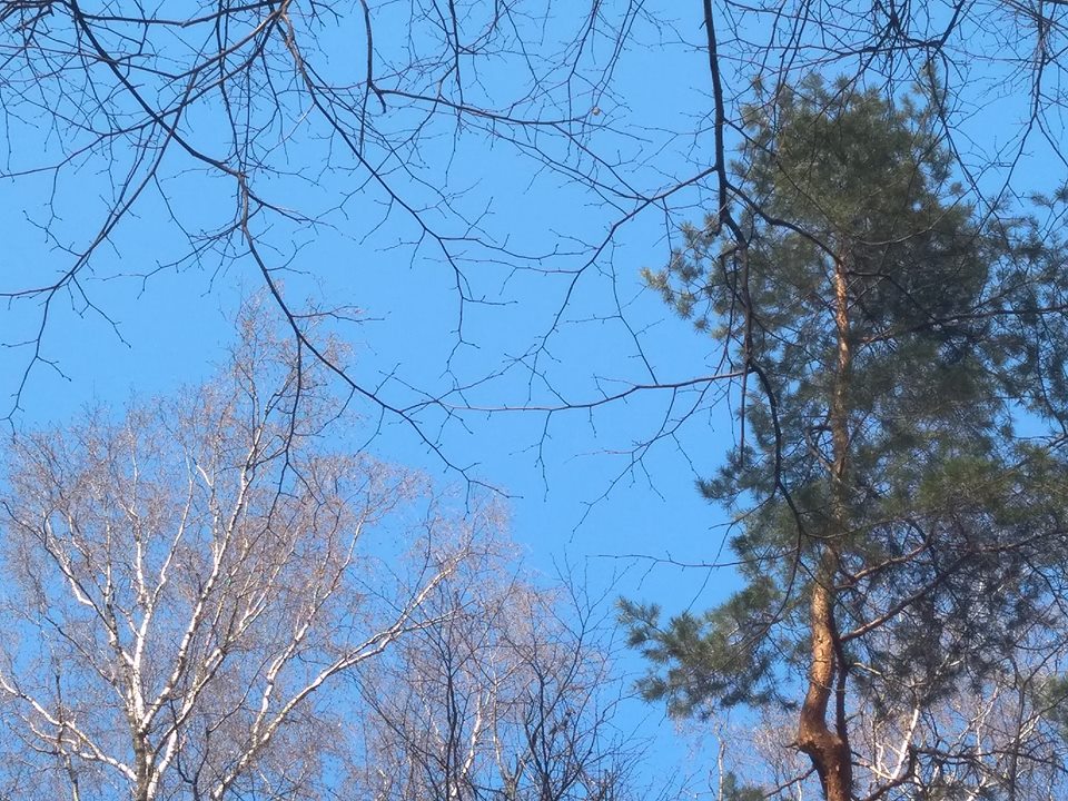 Подходит небо к нам так близко...