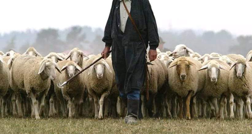 Кандализированый люд