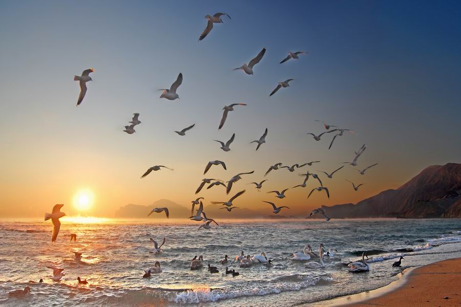 Мир глазами