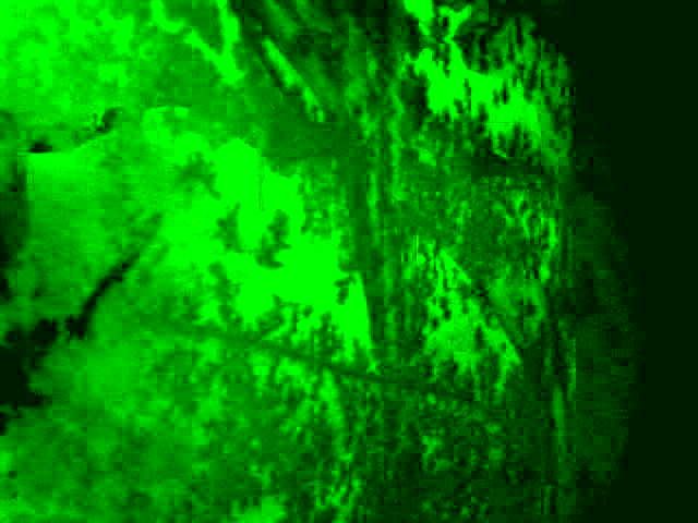 Разбежались вереницей