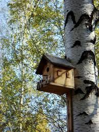 Скворечник