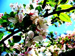 Весна, штрихи к портрету