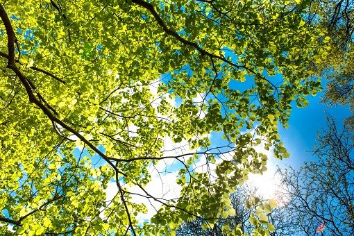 Не надо брать примеры с равнодушных!