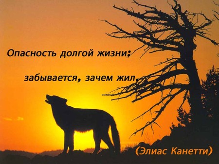 Что такое мудрость? Мысли вслух