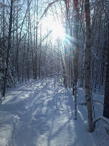 Семь месяцев правления зимы!