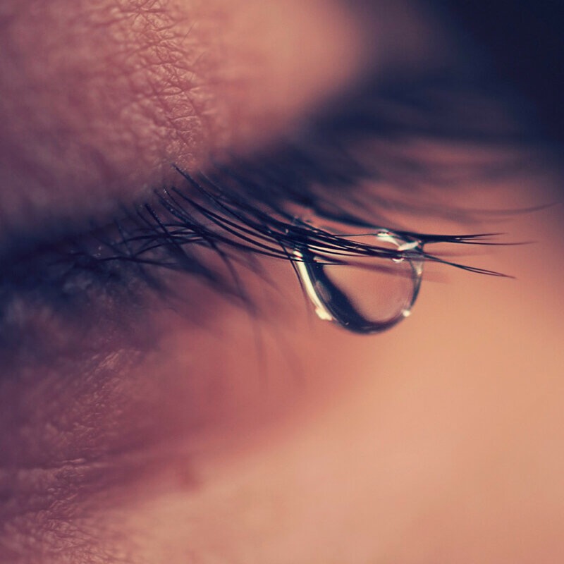 Благослови Всевышний