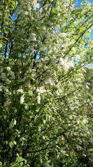 И снова май