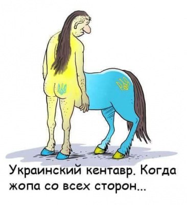 К паспортам