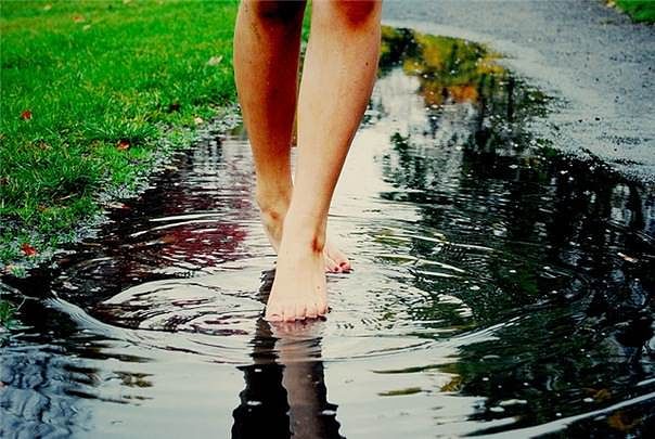 Неприхорошенною добротой