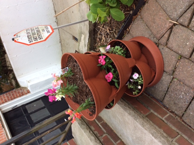 О времена, о нравы