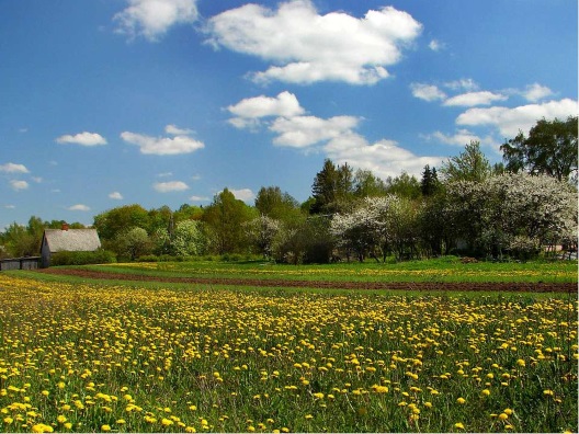 Весна пришла