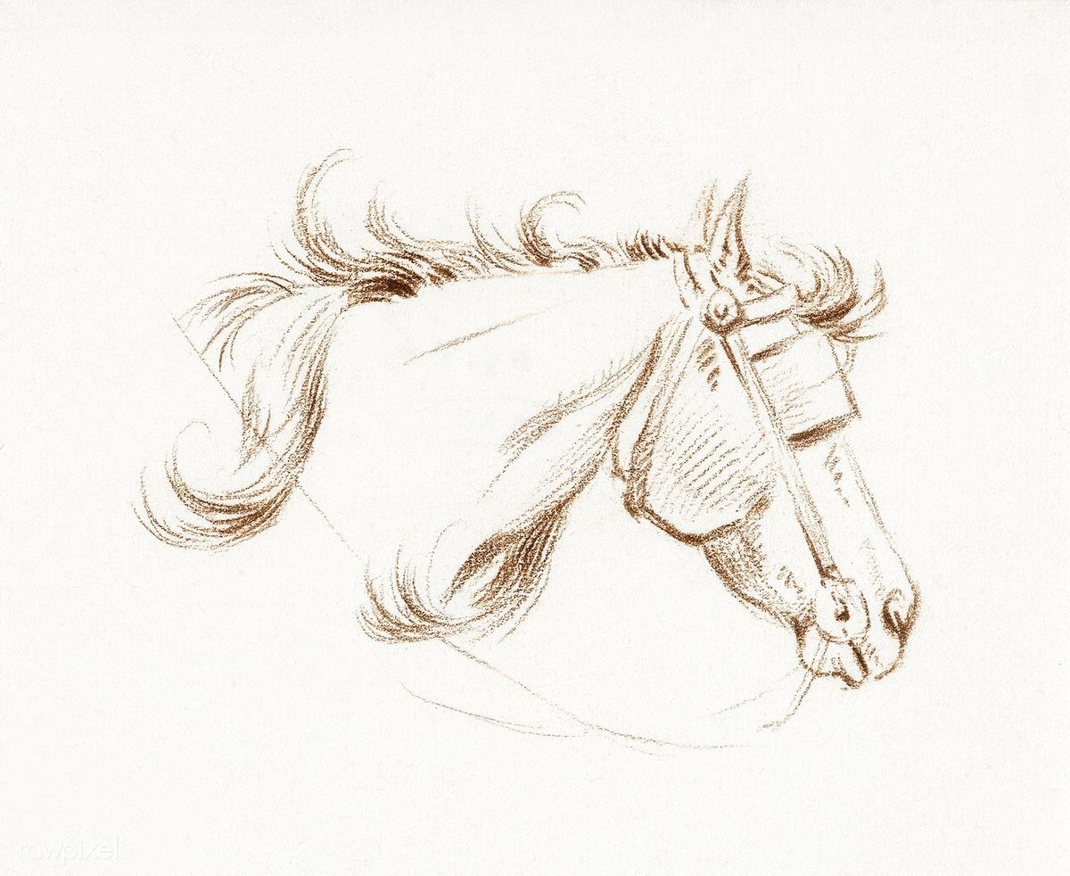 Лошадь рисунок легкий для скетчбука