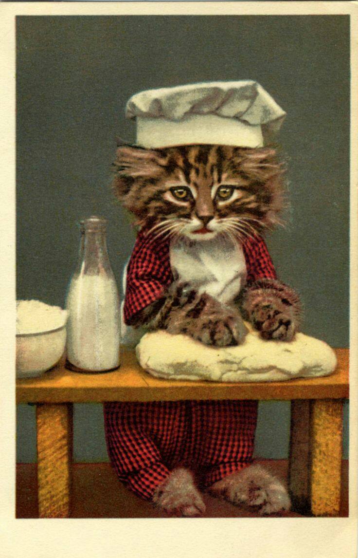 Фартук котик