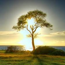 Умейте жить!..