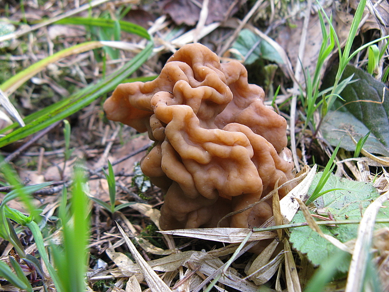 Ещё не май...