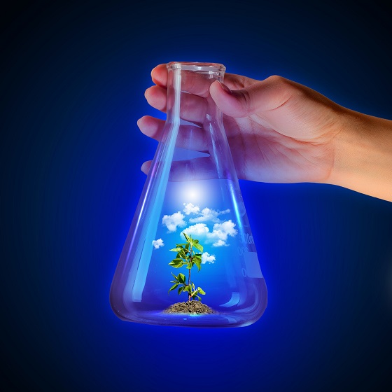 не сыскав глубины