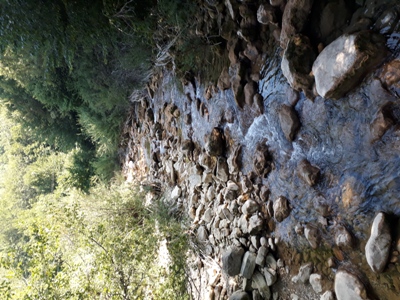 Столичный дух давно угас...