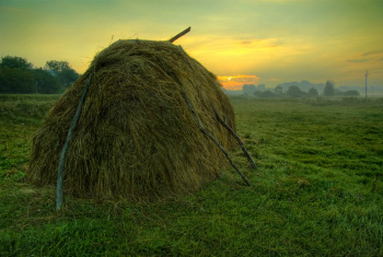 Такой разный отдых