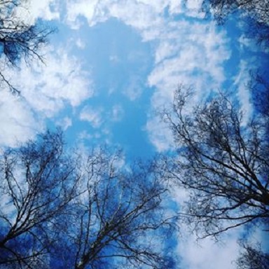 Дыхание весны