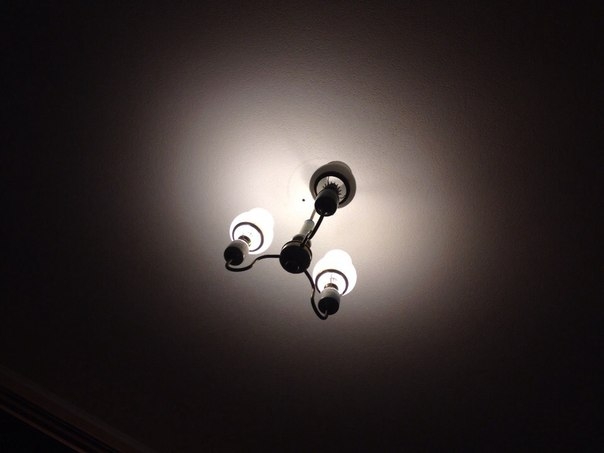 В приземленном раю