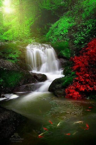 В прохладной дымке лёгких брызг..