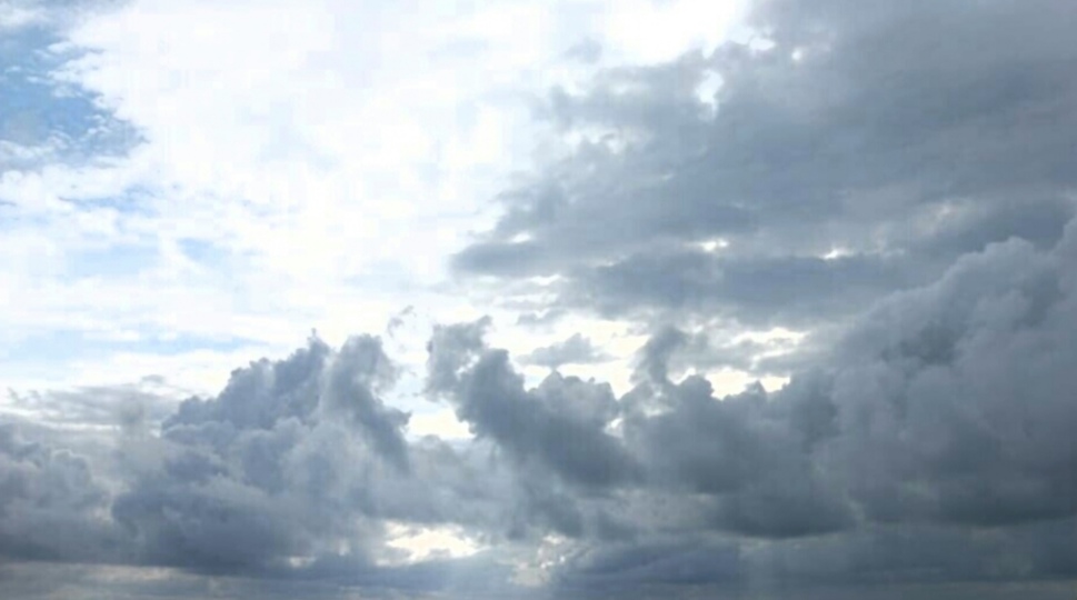 Посыпан густо суррогатом смеха