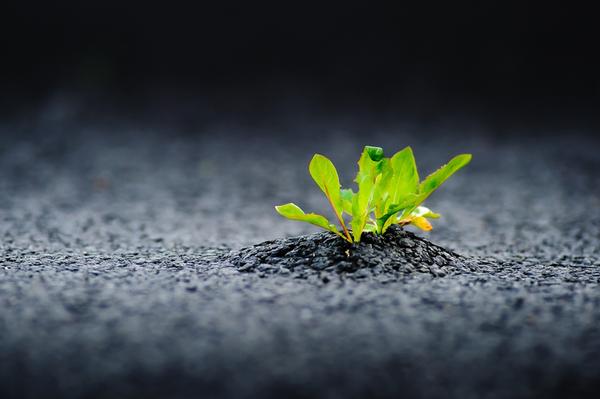 Желание жить