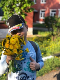 Одуванчики