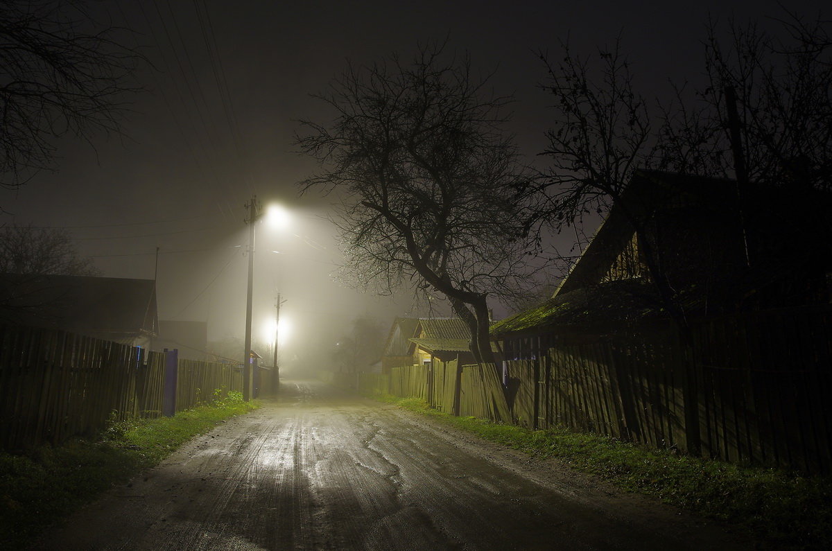 Ночная Загородная дорога