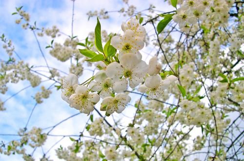 310. С верой и надеждой. Час пик