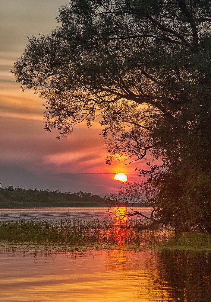 Миг раздумий...