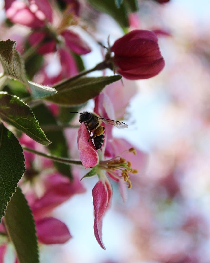 Я влюблена...