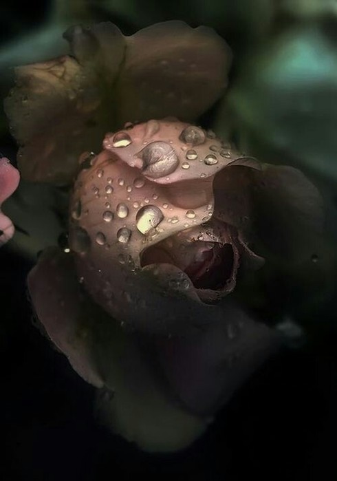 и не слушать толпу, что в затылок нам дышит