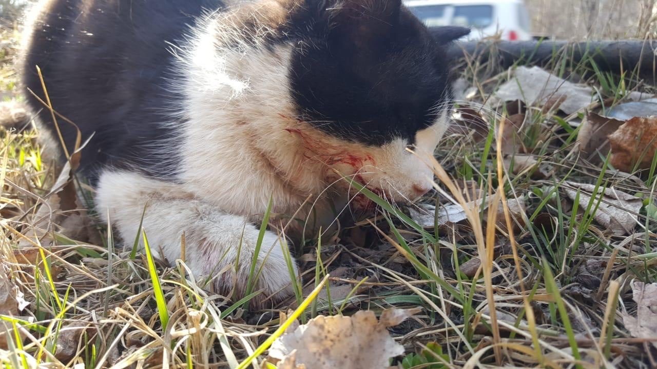 Без Бога в сердце...