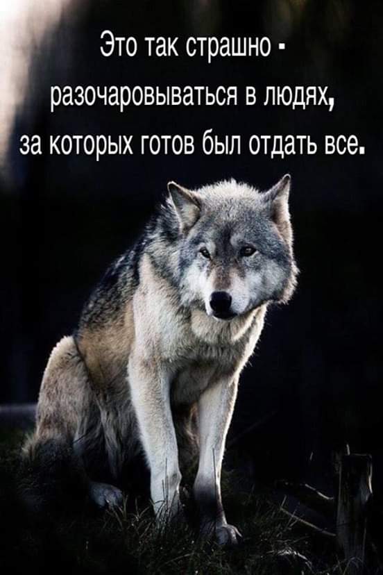Любовь, свобода и судьба