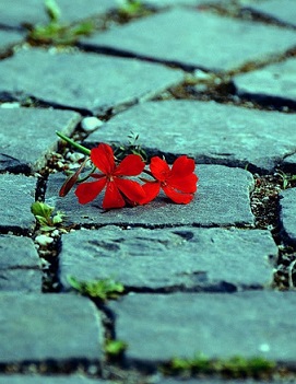 Потусторонняя тишина