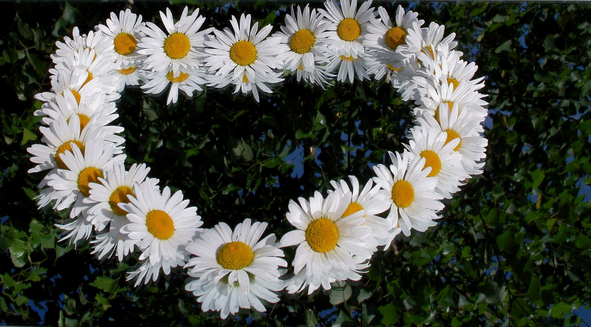 48 строк про любовь