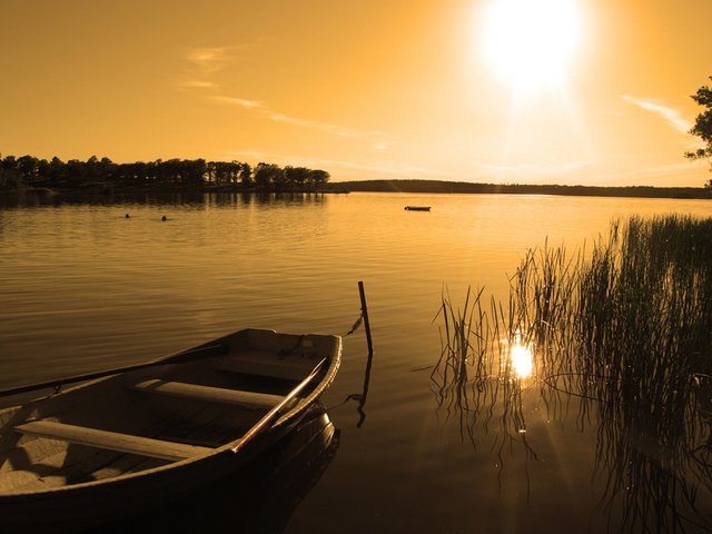 Голосование. Сумерки. Конкурс ассоциаций