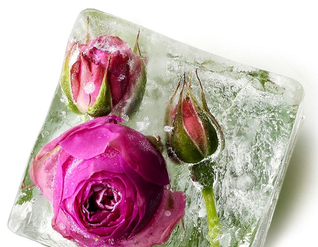 Не дари мне...