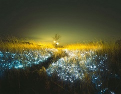 Есть на свете перекрёсток