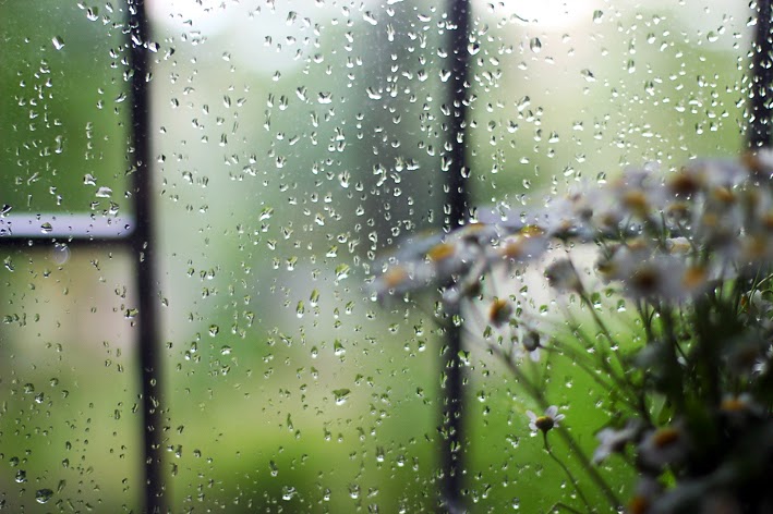 костер средь бела дня