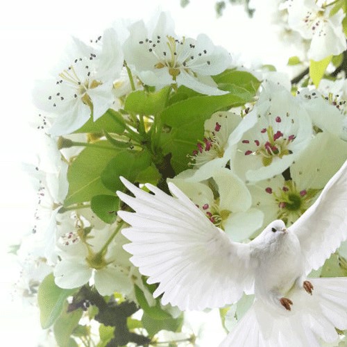 Что -то человечное