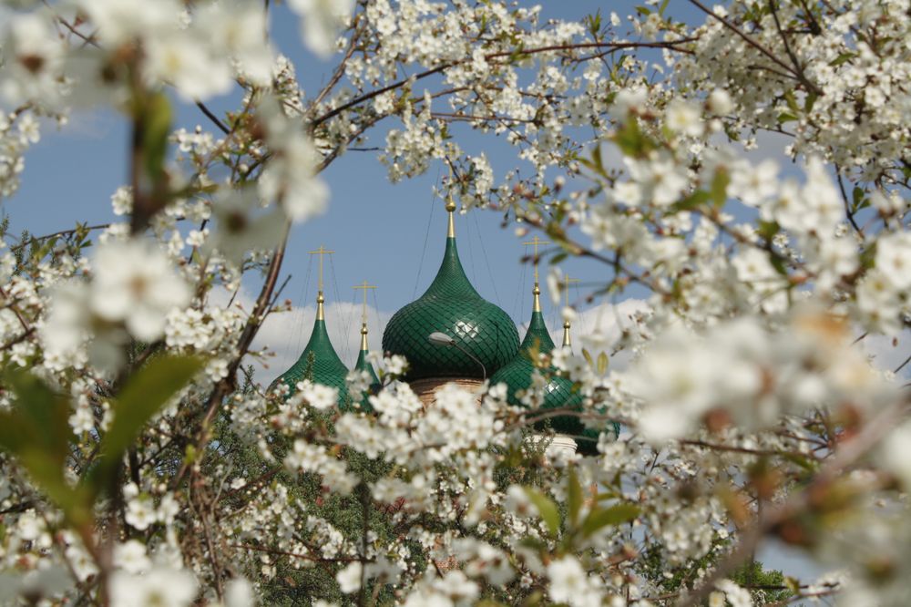 Монастырь в цветах