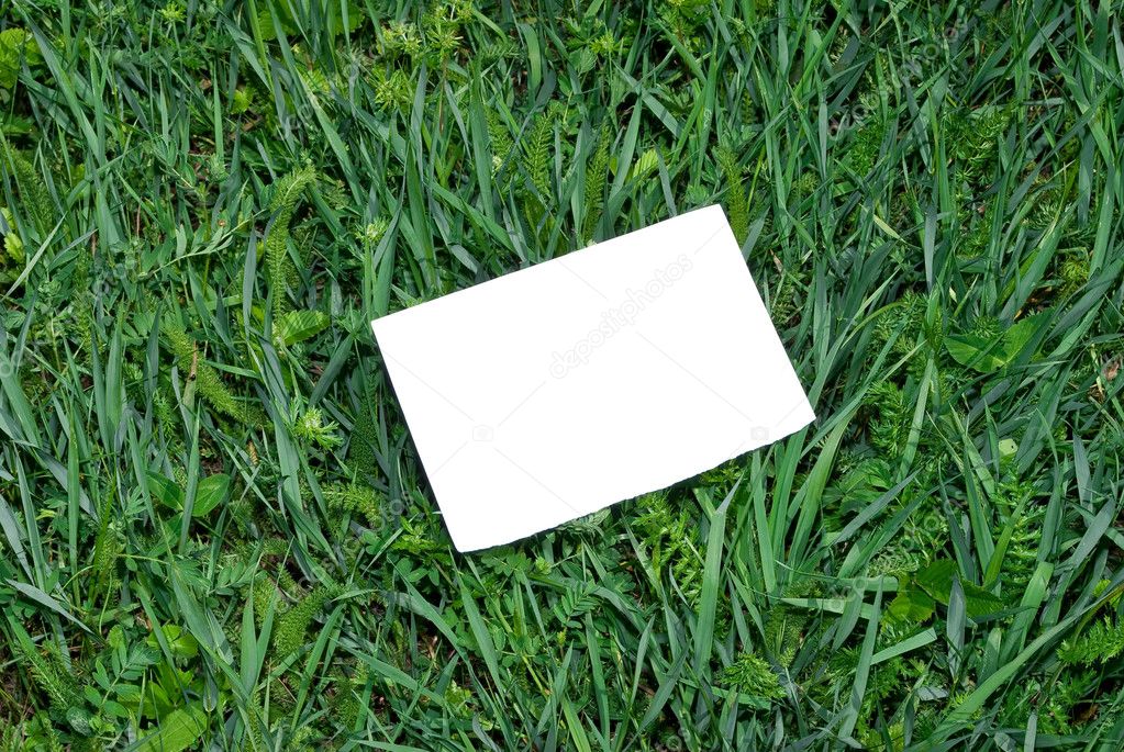 Зеленый лист бумаги. Зеленый цвет бумаги. Лист бумаги без фона. Живопись минимализм листья. Листовая бумага.