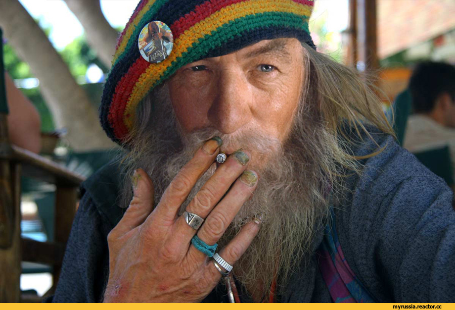 Заполтинник