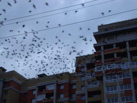 Обиделось небо