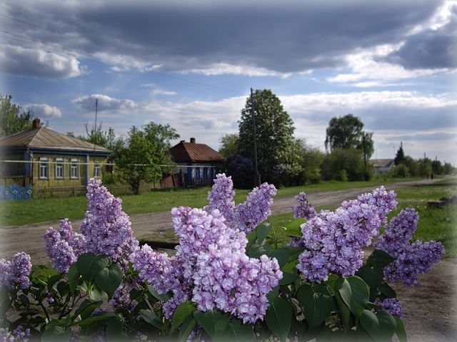 Шагнём в Весну? (Тамара Терёхина) / Проза.ру