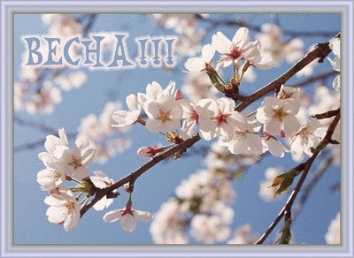 Невеста Весна