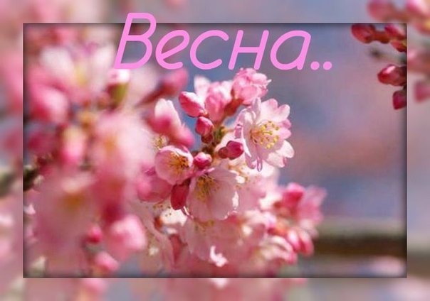 Рисует май художница-весна..